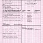 IJCEPA Certificate of Origin Online | Japan Export Duty Benefits