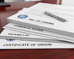 How to Apply for SAFTA Certificate in India: Step-by-Step Guide for Exporters